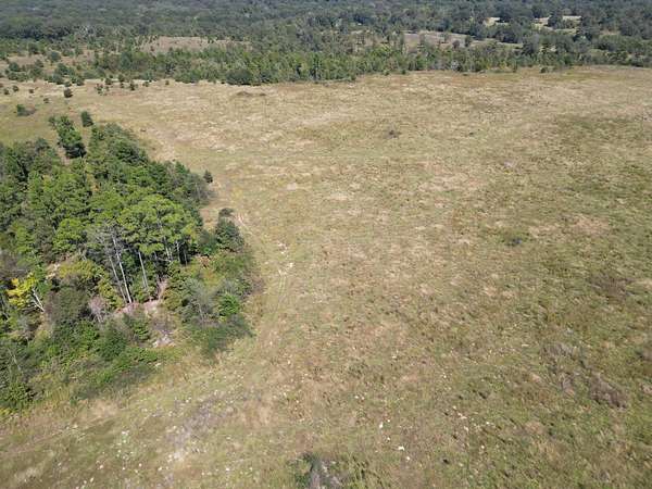 80.1 Acres of Land for Sale in Antlers, Oklahoma