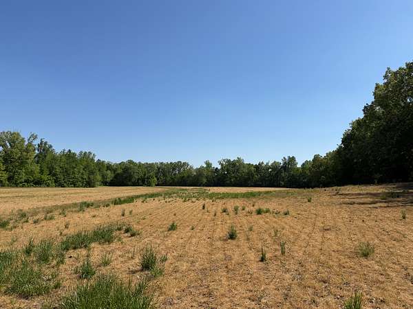 18.8 Acres of Land for Sale in Adamsville, Tennessee