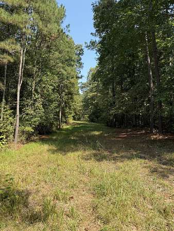 40 Acres of Recreational Land for Sale in Calion, Arkansas