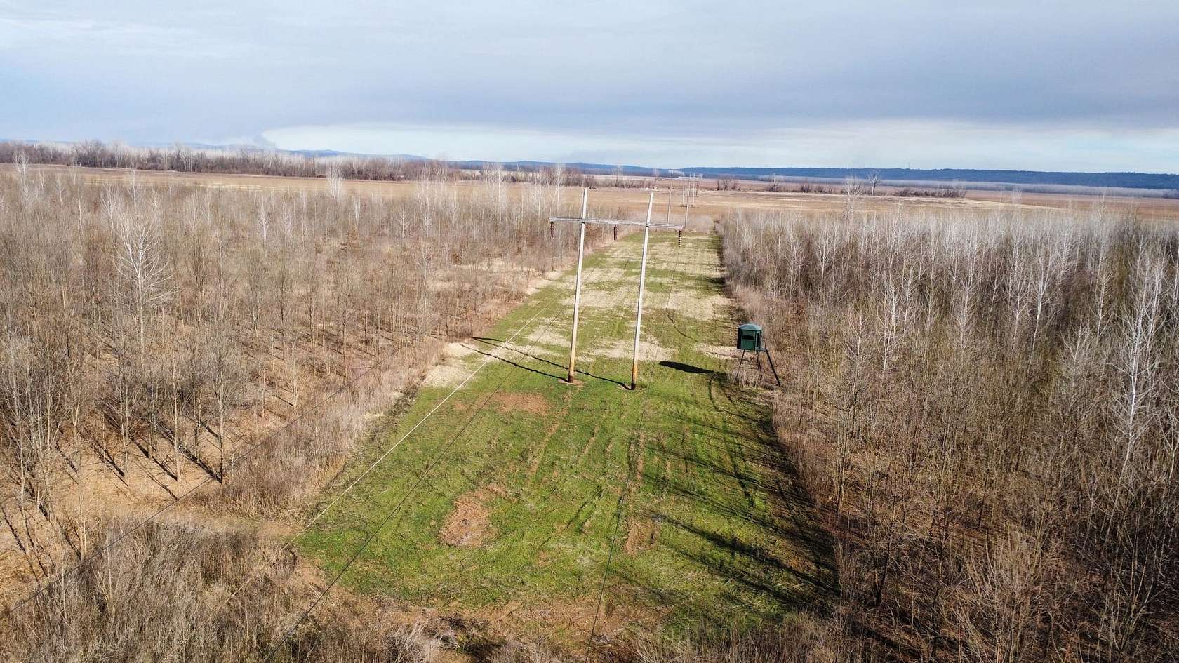 93 Acres of Recreational Land for Sale in Dyer, Arkansas