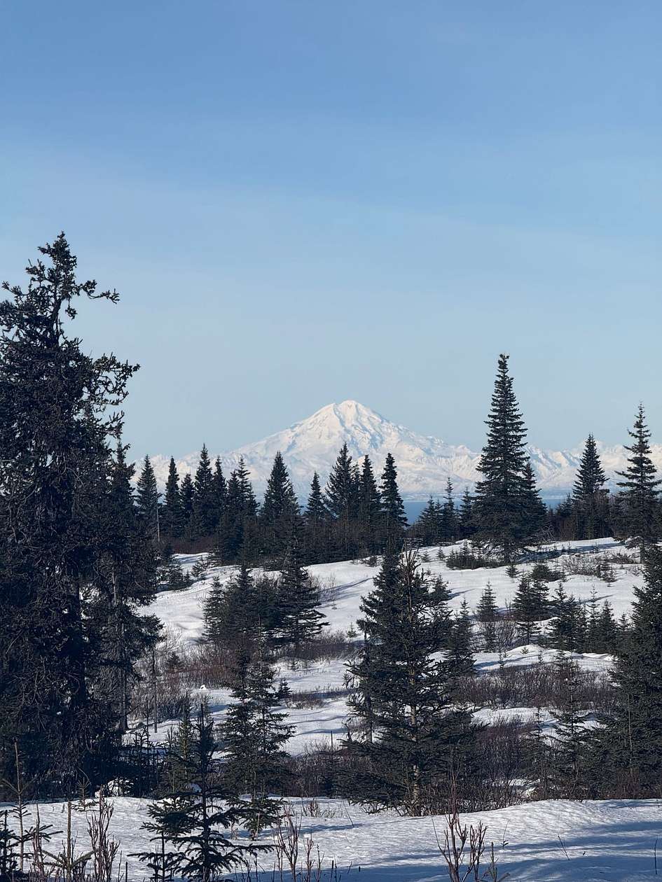 13.7 Acres of Recreational & Residential Land for Sale in Ninilchik, Alaska