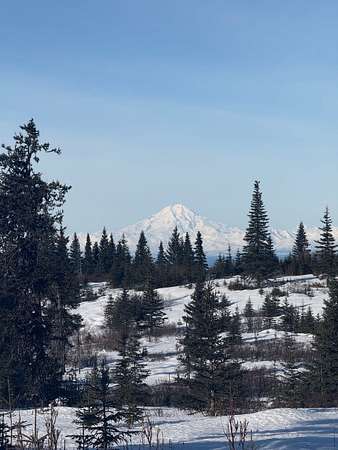 13.7 Acres of Recreational & Residential Land for Sale in Ninilchik, Alaska