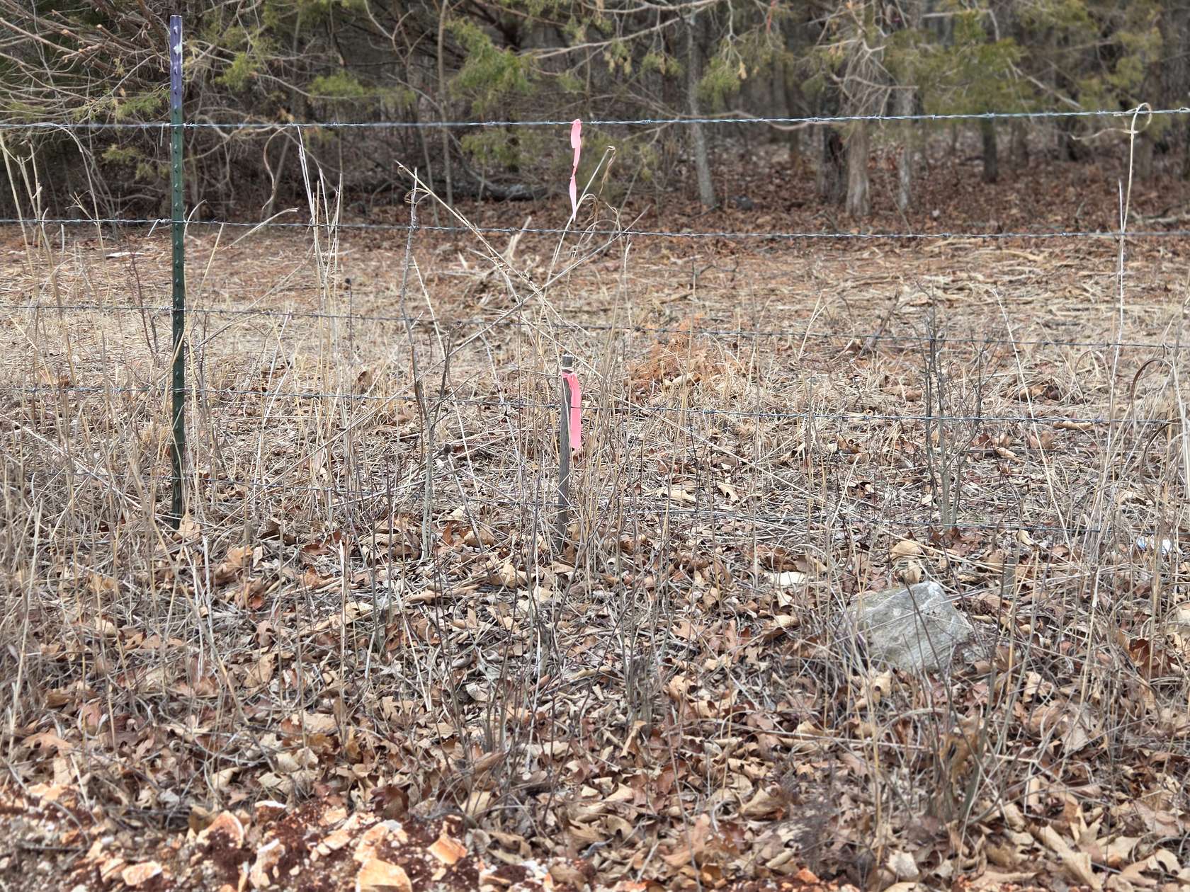 16.4 Acres of Land for Sale in Walnut Grove, Missouri