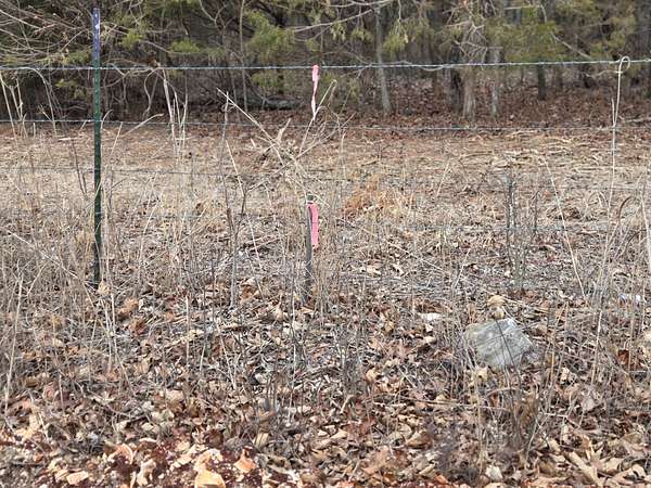 16.4 Acres of Land for Sale in Walnut Grove, Missouri