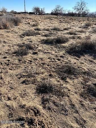 1 Acre of Residential Land for Sale in Silver Springs, Nevada