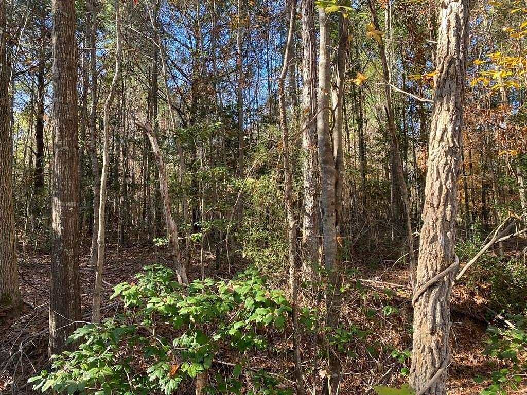 1.22 Acres of Land for Sale in Huntington, Texas