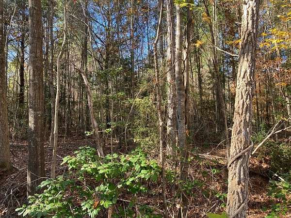 1.22 Acres of Land for Sale in Huntington, Texas