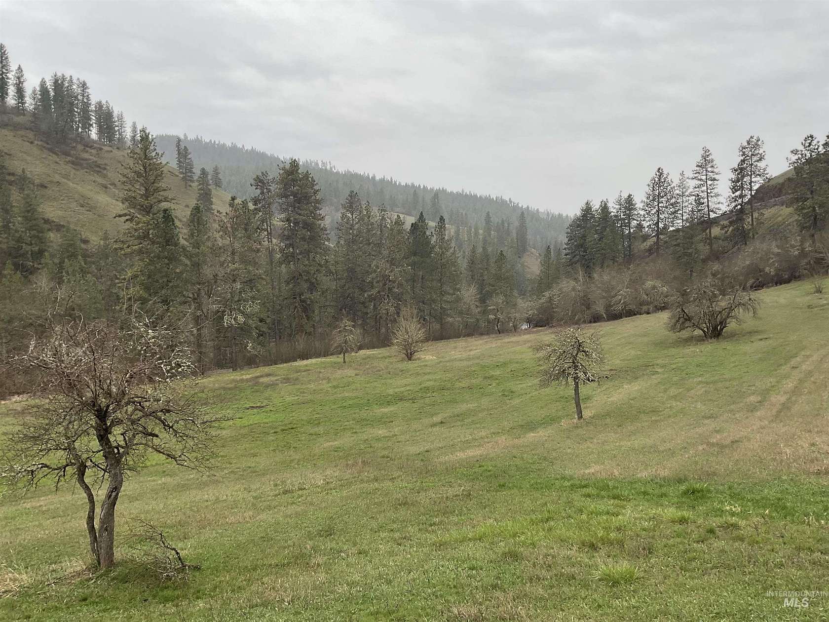 21 Acres of Land for Sale in Kendrick, Idaho