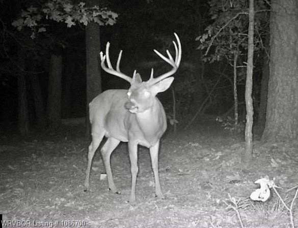 150 Acres of Recreational Land for Sale in Blanco, Oklahoma