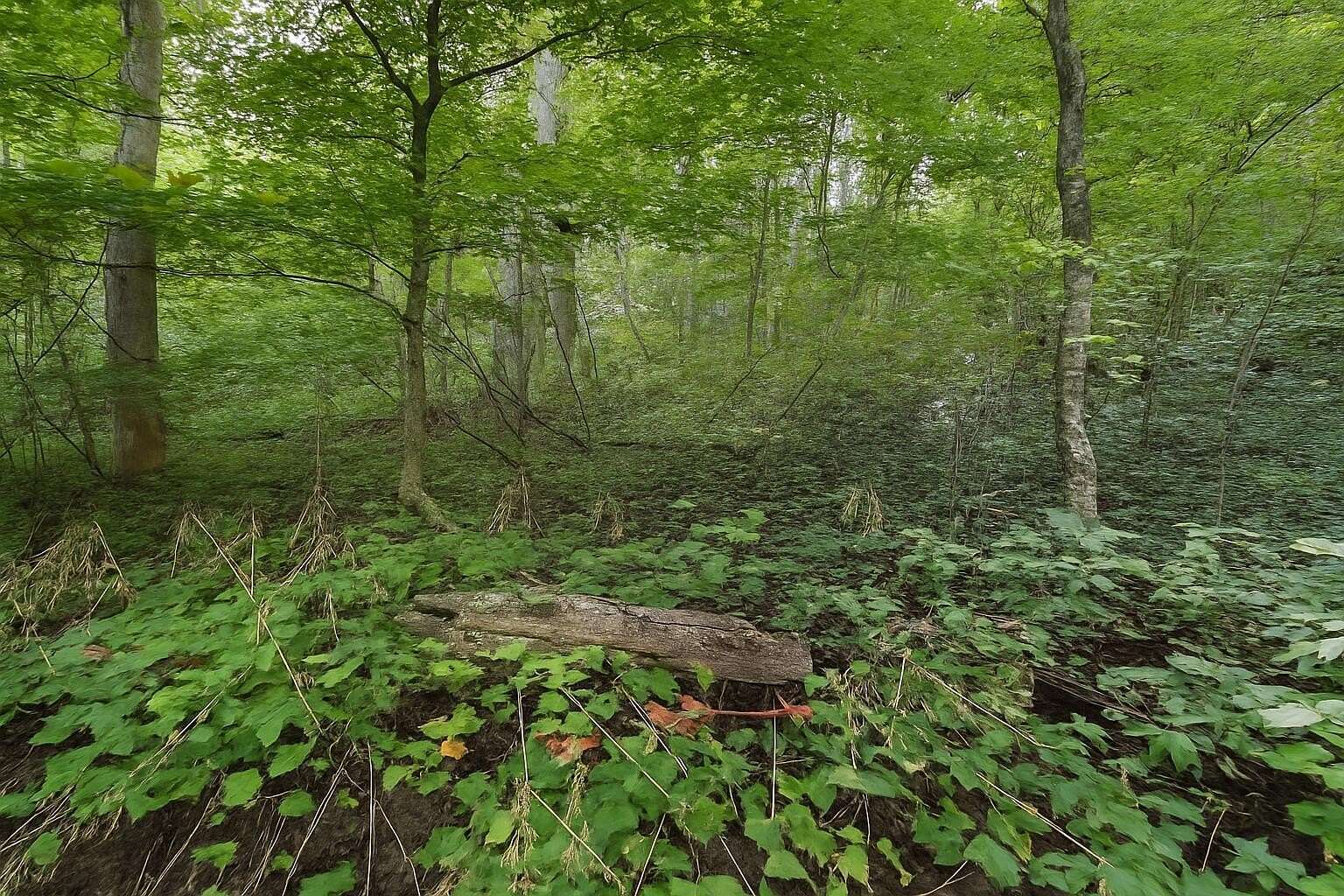 2.34 Acres of Land for Sale in Stanton, Kentucky