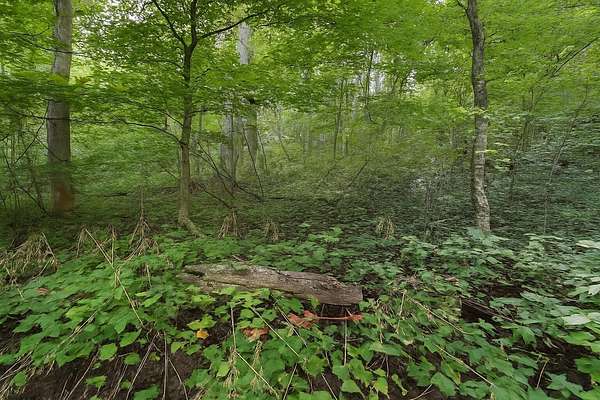 2.34 Acres of Land for Sale in Stanton, Kentucky