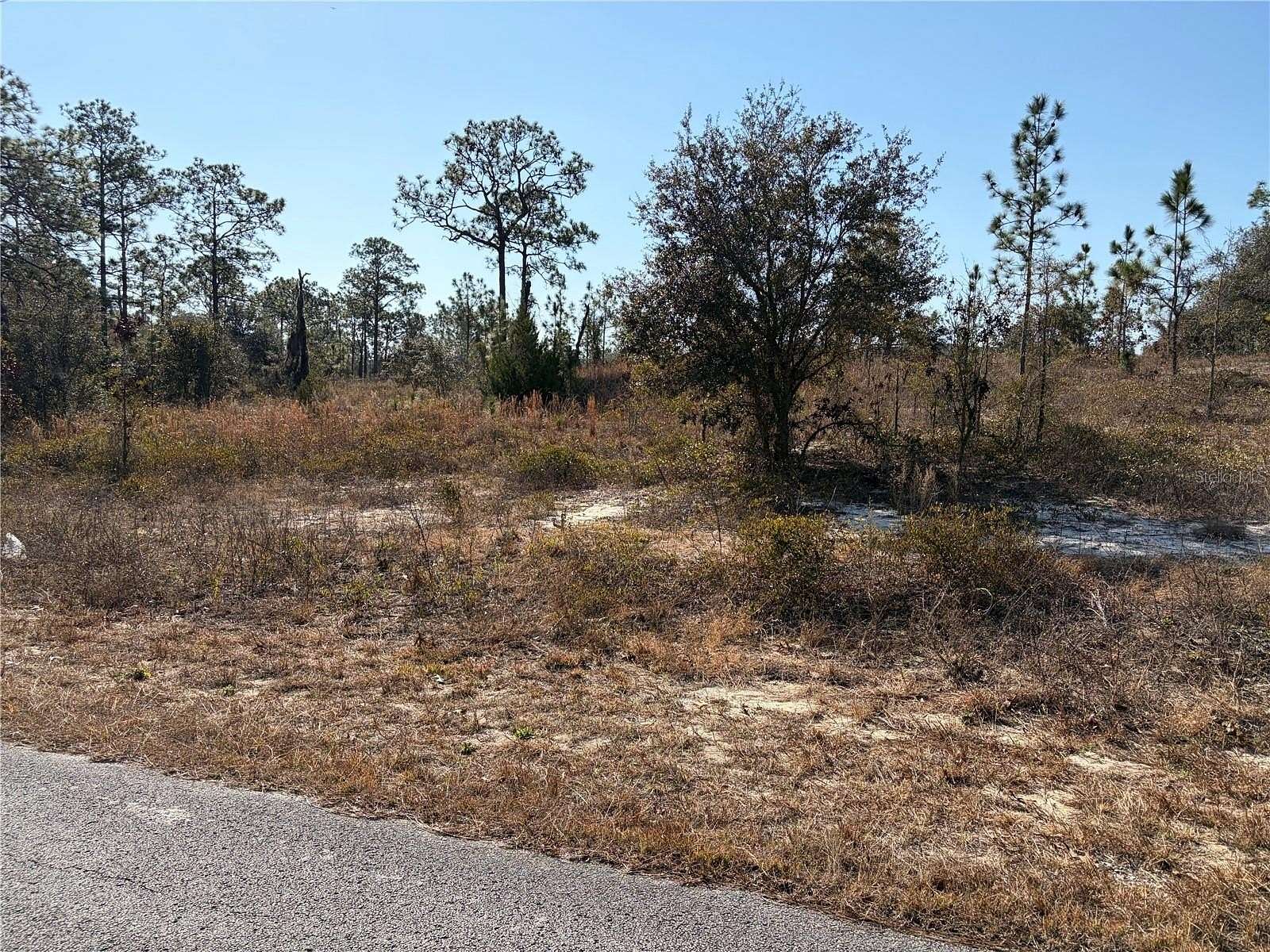 1 Acre of Land for Sale in Dunnellon, Florida