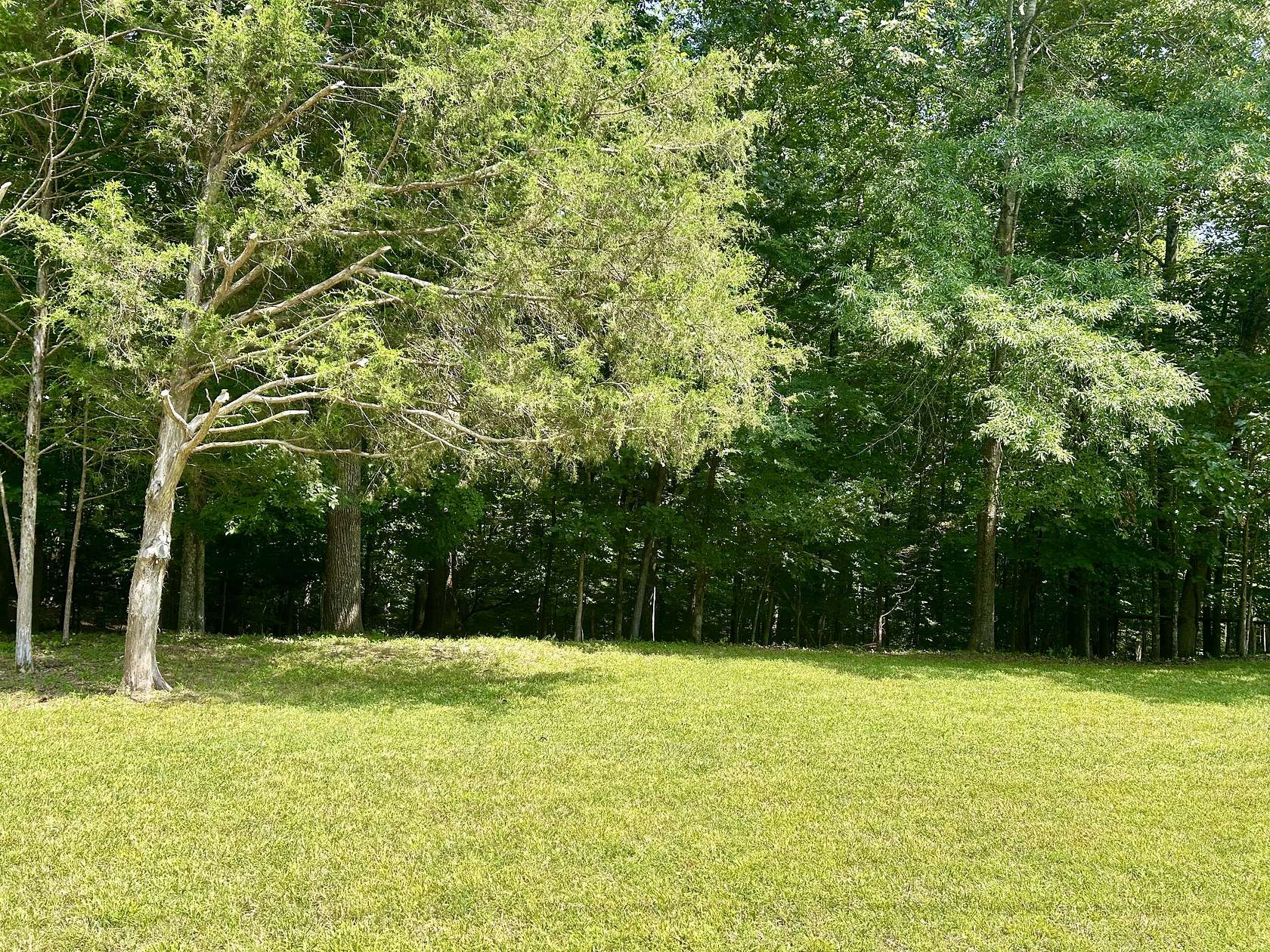 0.79 Acres of Residential Land for Sale in Lynchburg, Tennessee