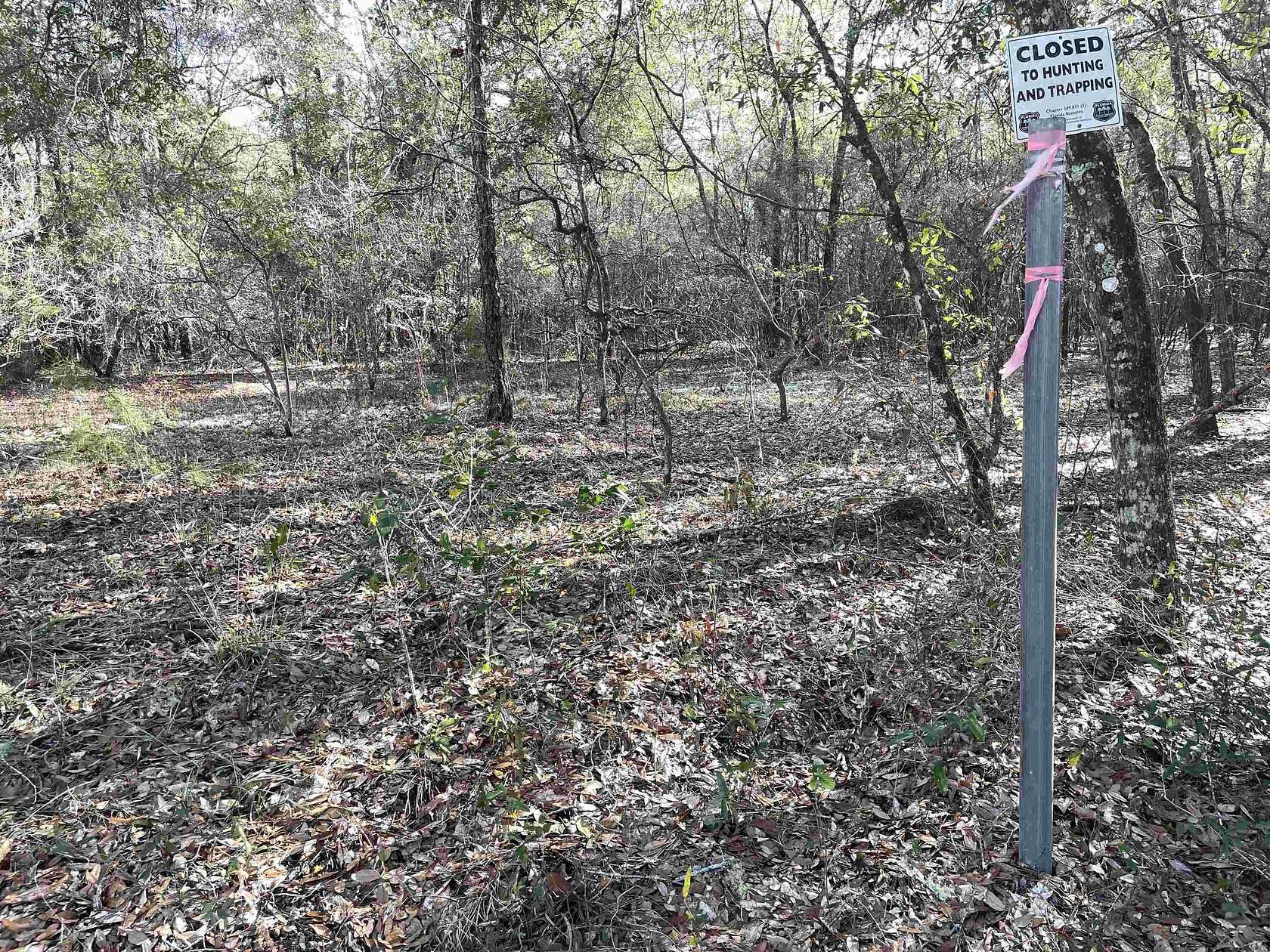 20.2 Acres of Recreational Land for Sale in Tallahassee, Florida