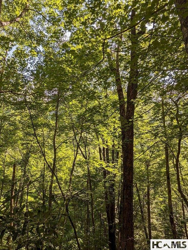 1.46 Acres of Residential Land for Sale in Glenville, North Carolina