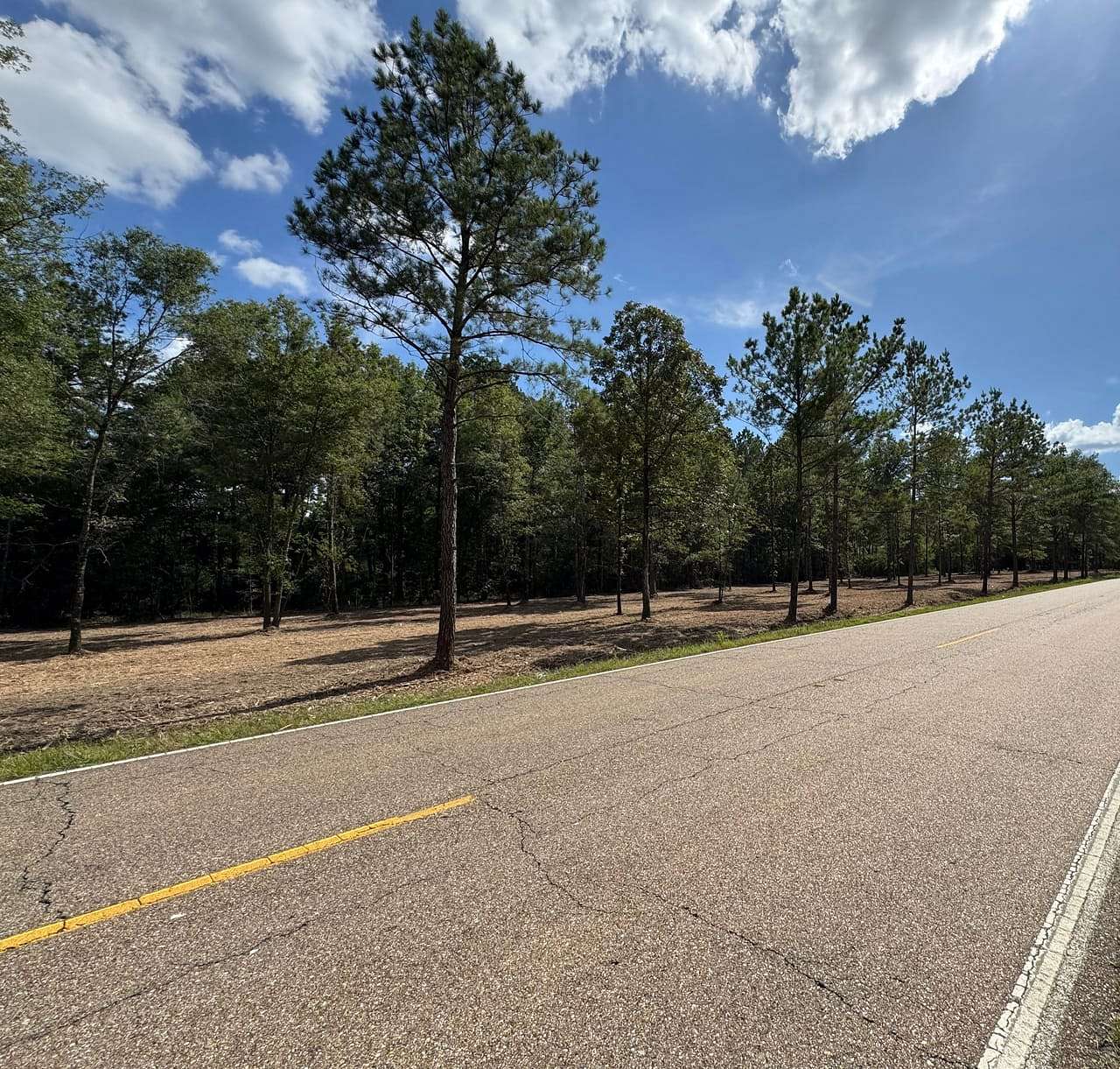 1 Acre of Land for Sale in Independence, Louisiana