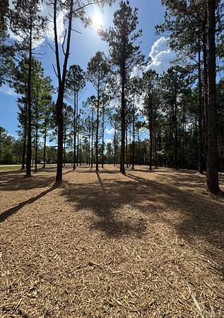 1 Acre of Land for Sale in Independence, Louisiana