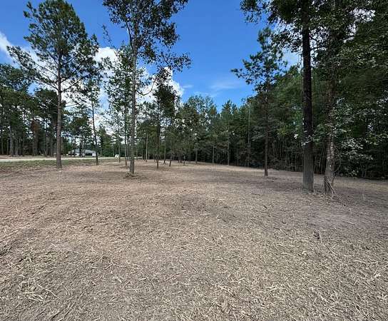 1 Acre of Land for Sale in Independence, Louisiana