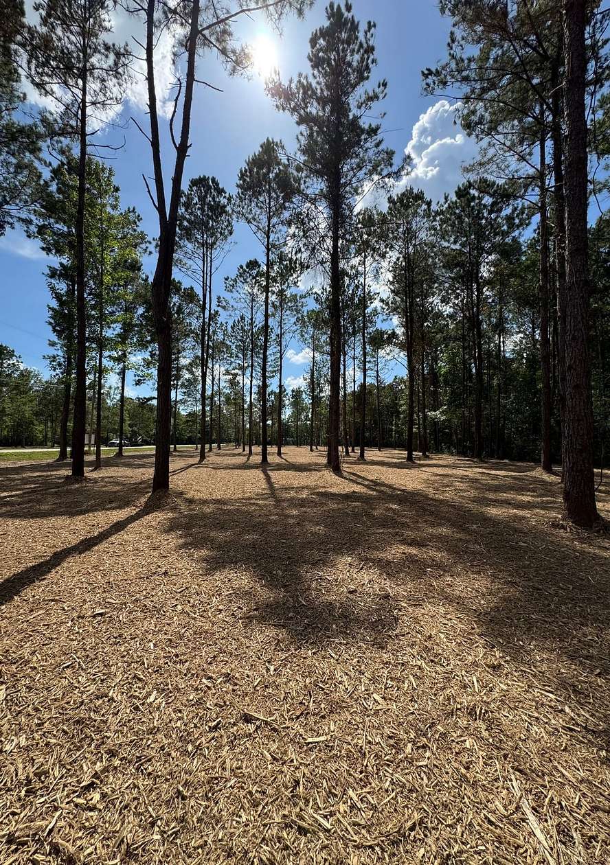 1 Acre of Land for Sale in Independence, Louisiana