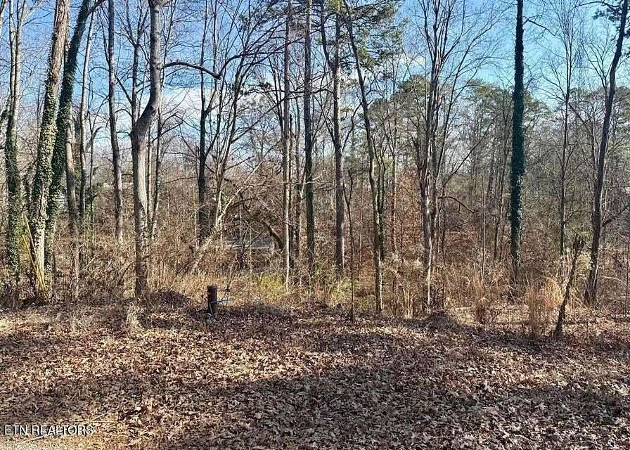 0.29 Acres of Residential Land for Sale in Dandridge, Tennessee