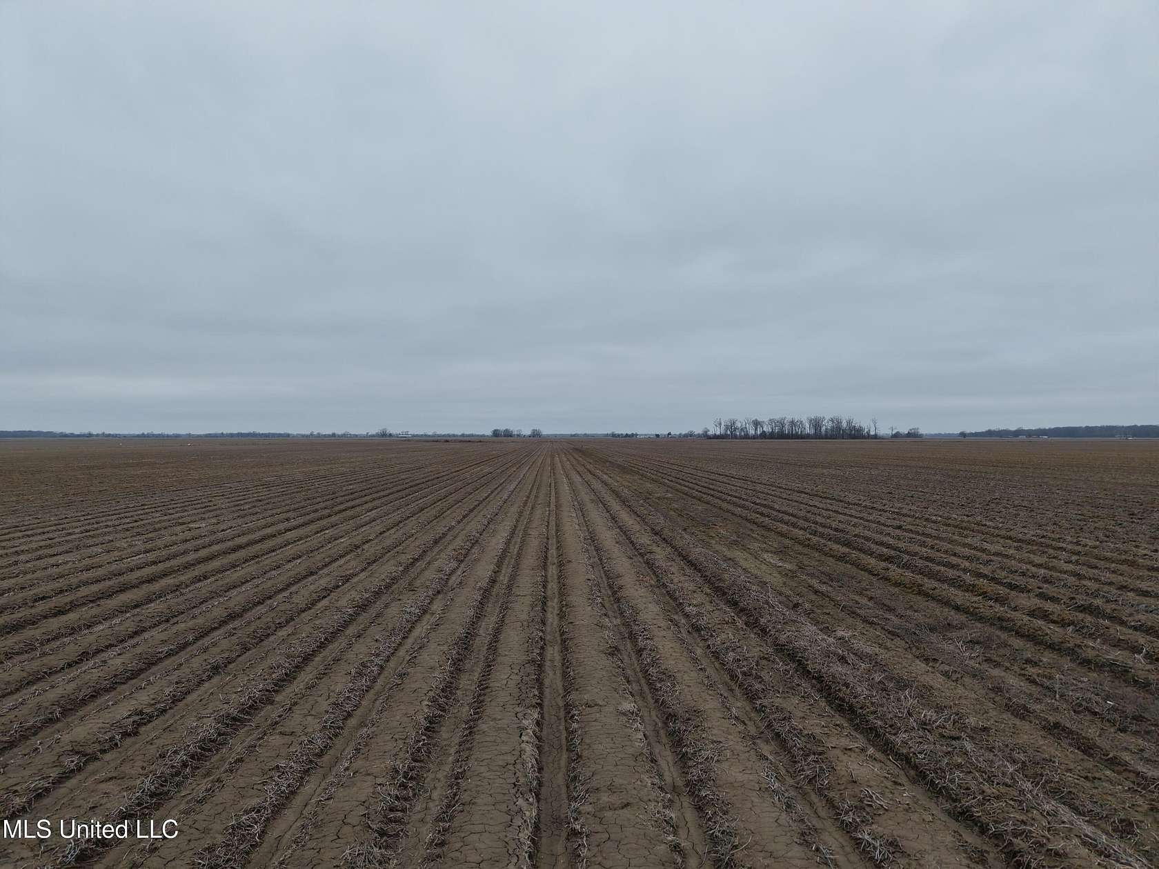 80 Acres of Agricultural Land for Sale in Indianola, Mississippi