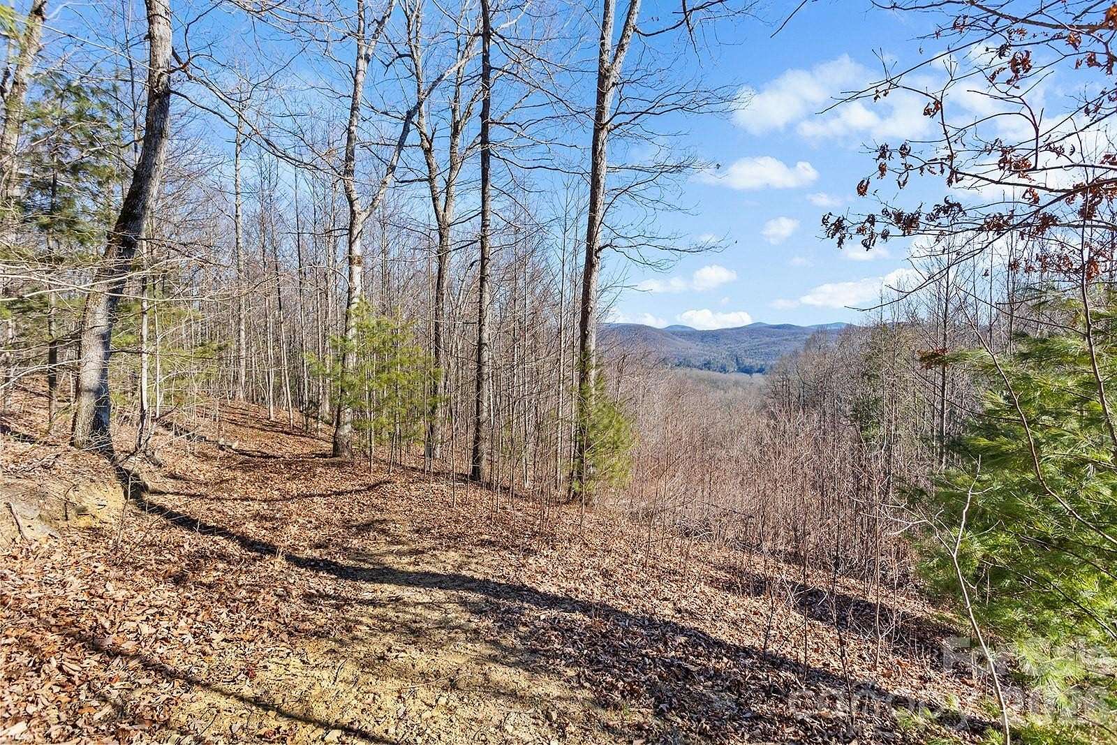 7.38 Acres of Residential Land for Sale in Zirconia, North Carolina