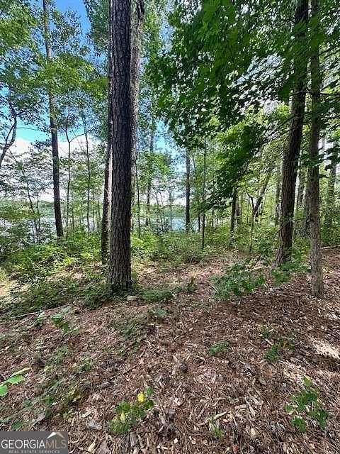 5.85 Acres of Residential Land for Sale in Newnan, Georgia