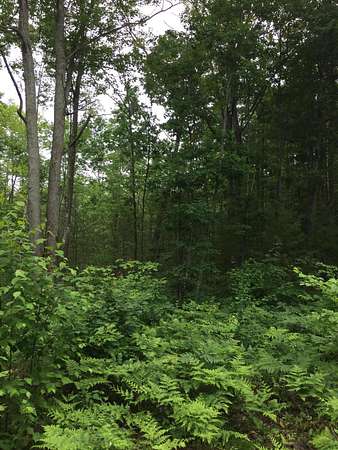 10.2 Acres of Land for Sale in Gaylord, Michigan