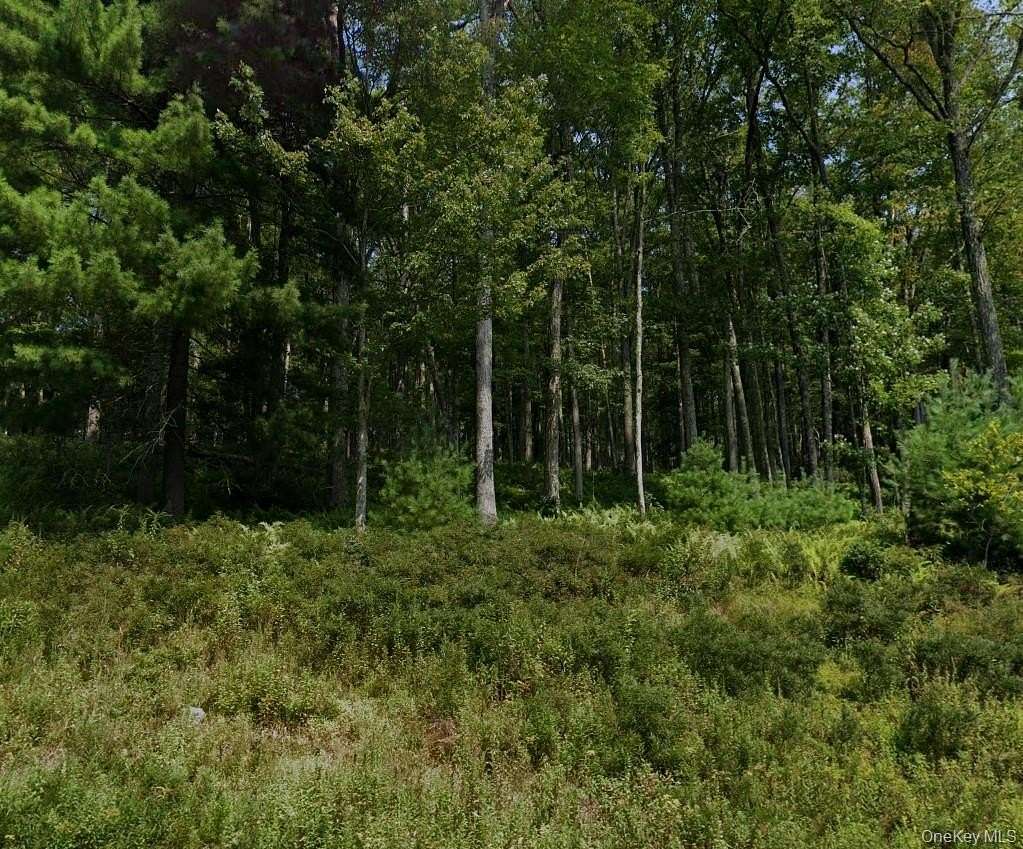 30 Acres of Recreational & Residential Land for Sale in Narrowsburg, New York