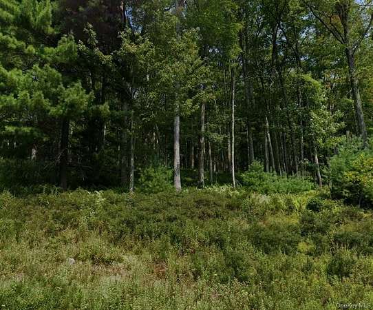 30 Acres of Recreational & Residential Land for Sale in Narrowsburg, New York
