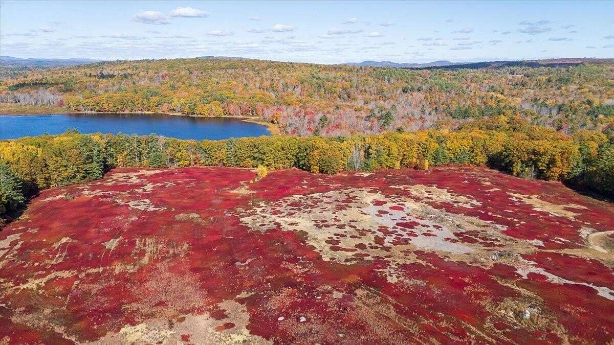 80.3 Acres of Land for Sale in Waldoboro, Maine