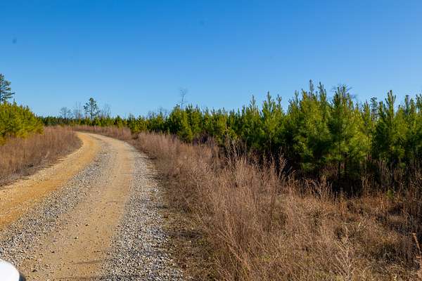 106 Acres of Land for Sale in Stewart, Tennessee