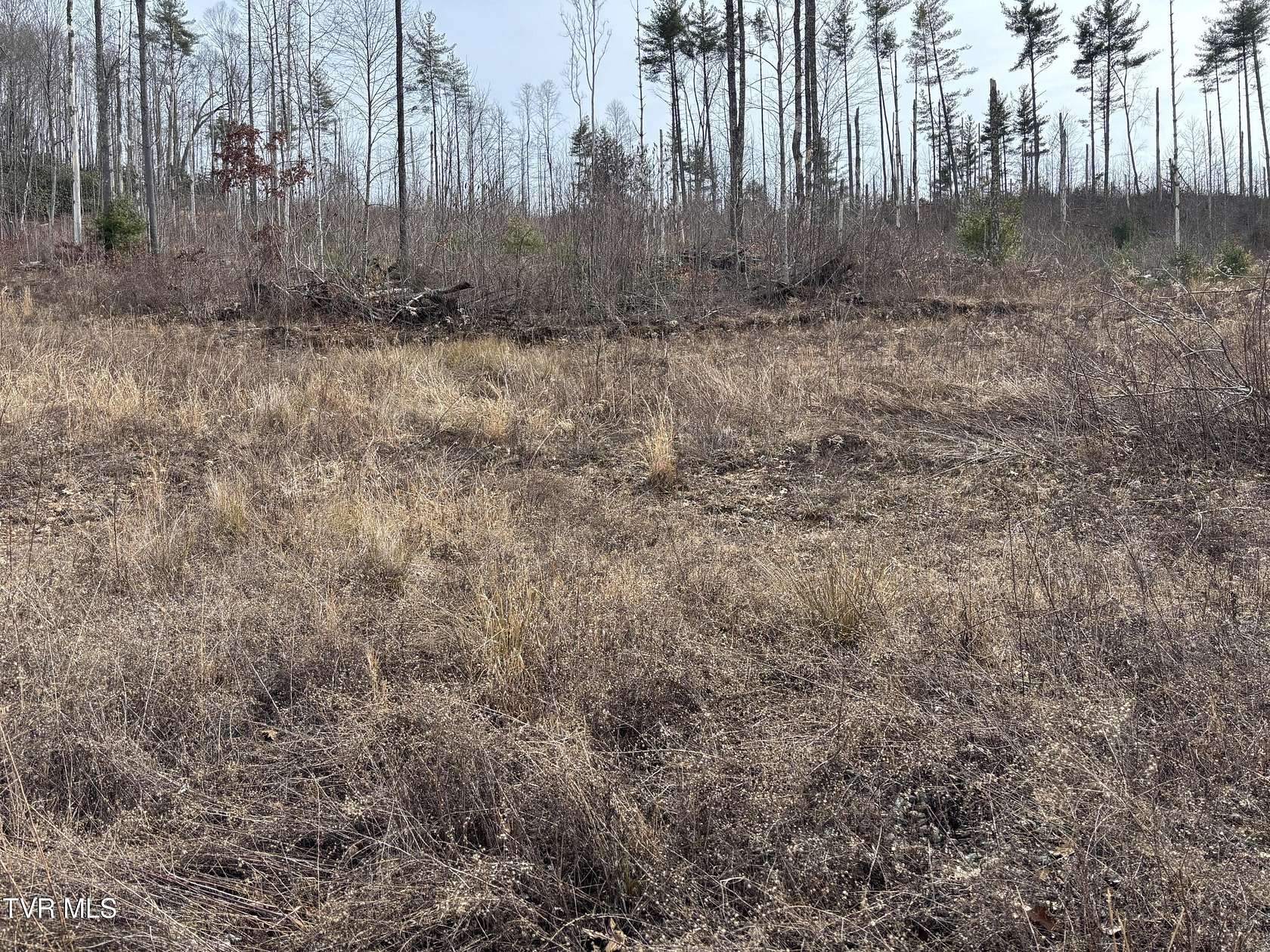 9.3 Acres of Residential Land for Sale in Mountain City, Tennessee