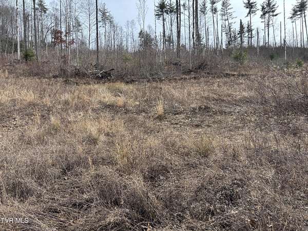 9.3 Acres of Residential Land for Sale in Mountain City, Tennessee