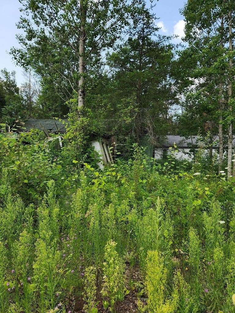 0.55 Acres of Residential Land for Sale in Idlewild, Michigan