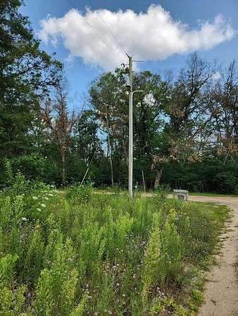 0.55 Acres of Land for Sale in Idlewild, Michigan