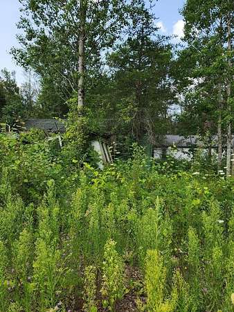 0.55 Acres of Residential Land for Sale in Idlewild, Michigan