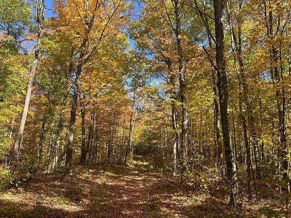 10 Acres of Recreational Land for Sale in Pearson, Wisconsin