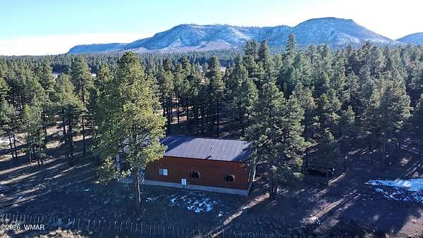 22.5 Acres of Recreational Land with Home for Sale in Alpine, Arizona