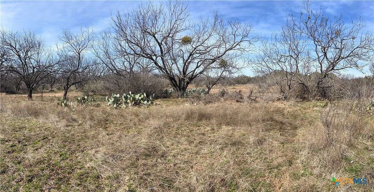 40 Acres of Recreational & Residential Land for Sale in Brownwood, Texas