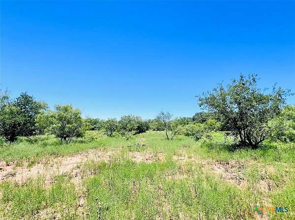 40 Acres of Recreational & Residential Land for Sale in Brownwood, Texas