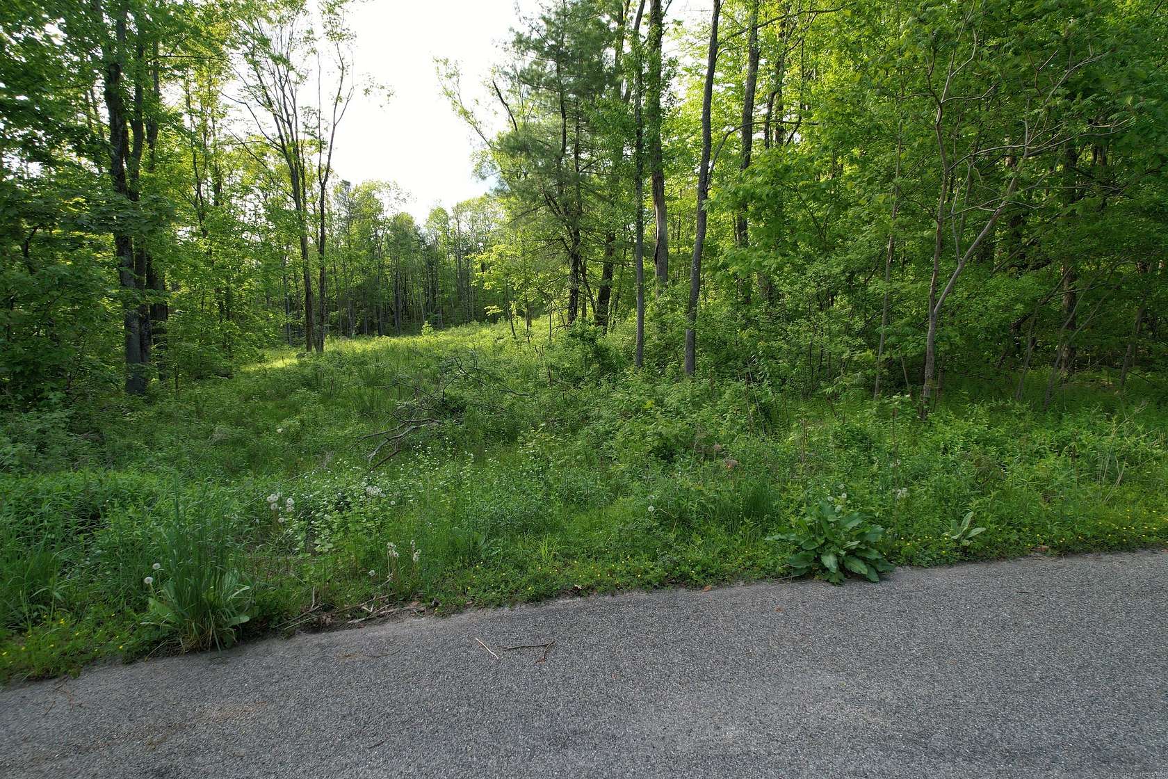 6 Acres of Residential Land for Sale in Goshen, Connecticut
