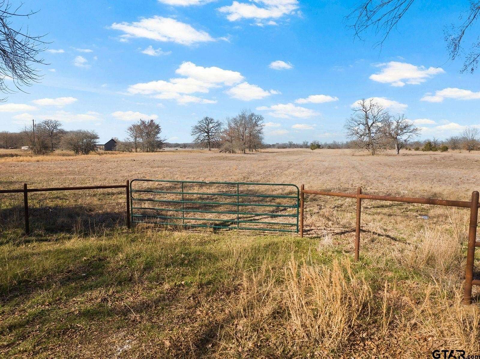 20 Acres of Recreational & Residential Land for Sale in Talco, Texas