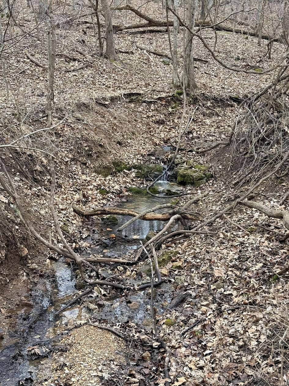 4.4 Acres of Land for Sale in Gravois Mills, Missouri