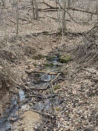 4.4 Acres of Land for Sale in Gravois Mills, Missouri