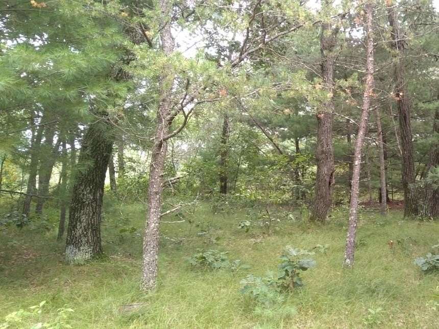 0.48 Acres of Residential Land for Sale in Nekoosa, Wisconsin