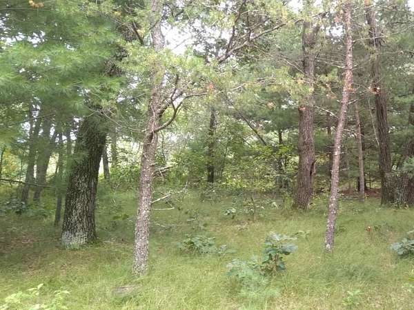 0.48 Acres of Residential Land for Sale in Nekoosa, Wisconsin