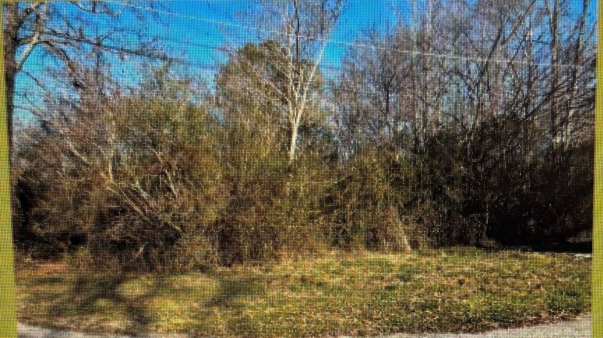 0.46 Acres of Residential Land for Sale in Russellville, Alabama