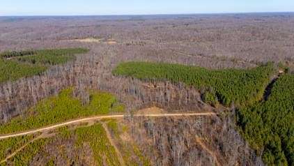 90 Acres of Land for Sale in Stewart, Tennessee