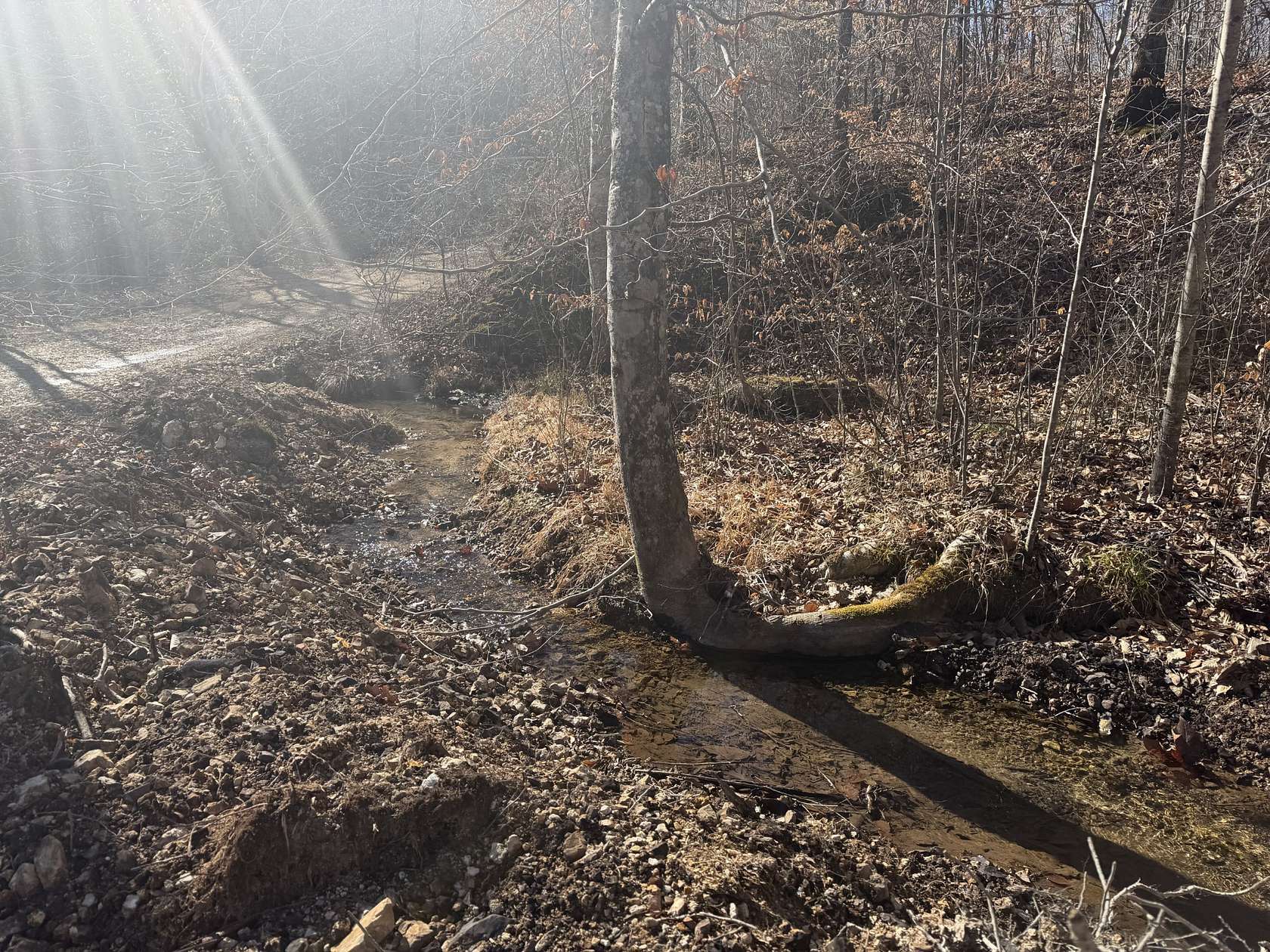 15 Acres of Land for Sale in Hampshire, Tennessee